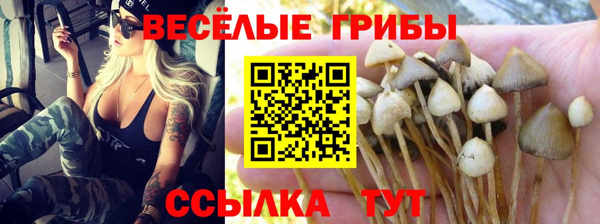 Псилоцибиновые грибы GOLDEN TEACHER Златоуст